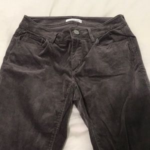 Loft Corduroy Pants
